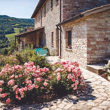 Agriturismo Casal San Sergio Fossombrone Extérieur photo
